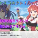 【プリコネR】騎士君に仕事を振ろうとして怒られるアキノｗ CV:松嵜麗、田所あずさ [Princess Connect!Re:Dive][公主連接！]