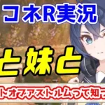 【プリコネR実況】（メイン第2部・8-幕間）妹と兄と友達と 700