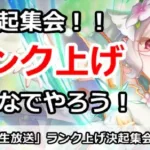 【プリコネ】みんなで上げれば怖くない！ランク上げ決起集会＆初心者講座【プリンセスコネクト！】