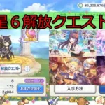 【プリンセスコネクト！Re:Dive】星6解放しに行くんだよ❕❕・・・・・・あくしろよ❕❕＃6【ゆっくり実況】