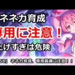 【プリコネ】ネネカの育成＆専用装備に注意！上げすぎは危険！？【プリンセスコネクト！】