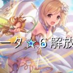 【プリコネR】新星6！ジータの解放戦に挑む　プリンセスコネクトリダイブ