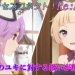 【プリコネR】ミツキのユキに対する扱いまとめ☆ CV:三石琴乃、大空直美 [Princess Connect!Re:Dive]