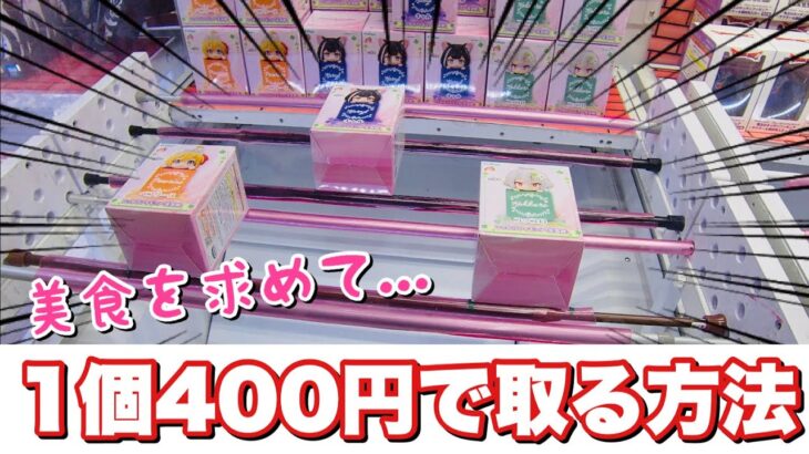 【プリコネR】ひっかけ美食殿メンバーコンプ目指してクレーンゲーム攻略！【プライズ】