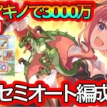 【プリコネR】ランク25フル装備のアキノでもワイバーンに3000万出せる楽々セミオート編成があります