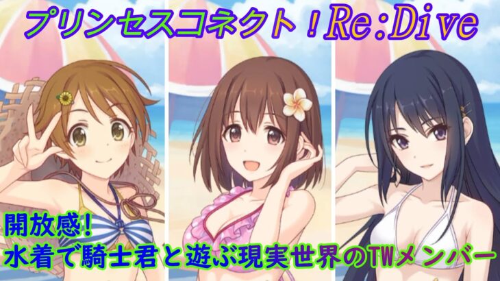 【プリコネR】水着姿となってそれぞれ騎士君と遊ぶトゥインクルウィッシュのメンバーたち [Princess Connect!Re:Dive]