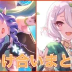 【プリコネR】  限界オタクと化したアメス様 コッコロの横で暴走　 　アメス×コッコロバトル時掛け合いまとめ