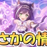 【プリコネR】まさか過ぎる情報と神アプデが発表されたぞｗｗ【専用装備】【プリフェス】【８人目の七冠】