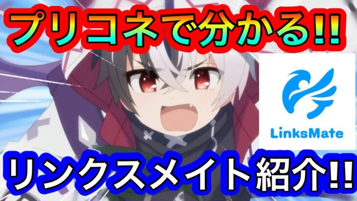 【プリコネR】プリコネRで分かる!!リンクスメイトの紹介!!