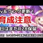 【プリコネ】Lv＆ランク更新で色々育成注意！今日はまだR28保留推奨【プリンセスコネクト！】