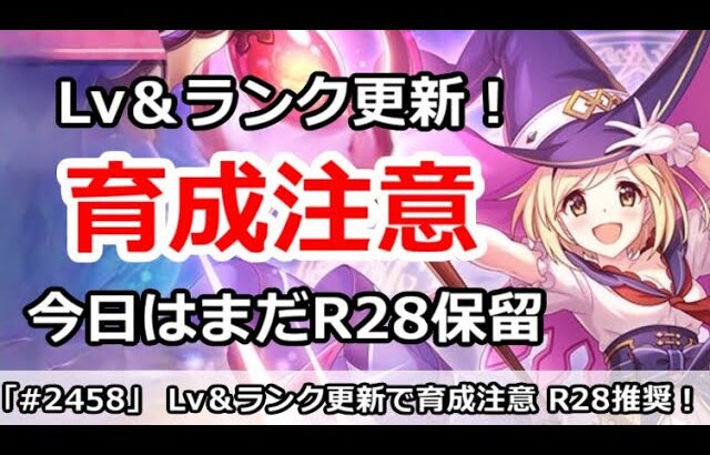 【プリコネ】Lv＆ランク更新で色々育成注意！今日はまだR28保留推奨【プリンセスコネクト！】