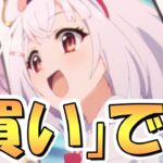 【プリコネR】こーーーれは間違いなく「買い」です【ランク29】【新装備】【プリコネ】