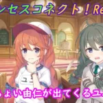 【プリコネR】ちょいちょい由仁が出ちゃうユニｗ CV:小原好美 [Princess Connect!Re:Dive]