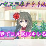 【プリコネR】現実世界で好き放題言われる浪漫賢者ｗ CV:小原好美 [Princess Connect!Re:Dive]