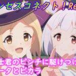 【プリコネR】騎士君のピンチに駆けつけるジータとビカラ☆ CV:種崎敦美、金元寿子 [Princess Connect!Re:Dive]