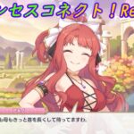 【プリコネR】飛び切りの笑顔で騎士君を両親に会わせようとするアキノｗ [Princess Connect!Re:Dive]