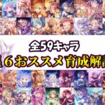 【プリコネR】最新版星６おススメ育成優先度解説【2023年9月版】