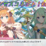 【プリコネR】あのクリスマスイベのことを知られたくないチカｗ [Princess Connect!Re:Dive]