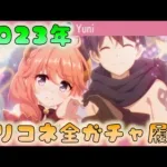 🔴 【👑プリコネ】ゆく年くる年　2023年ガチャ全履歴と過去の比較雑談枠【プリセスコネクトRe:Dive】