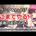 【プリコネ】ランクやLvはどこまで上げる！？2/15に備えて全ぶっぱするか悩む！【プリンセスコネクト！】