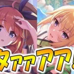 【プリコネR】遂に来た水着なかよし部！そして大型アプデの追加情報公開！最新情報まとめ！【プリコネフェスDAY１】