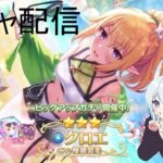 【プリコネR】 クロエ（ウィンター）当たるまで配信