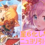 【プリコネR】ニュイ、ニュヨリ引く配信　限定星６どこまで強いか！【配信初心者】