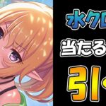 【プリコネR】クロエ（ウィンター）手に入れるまで引くガチャライブ【ライブ】