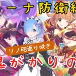 【プリコネR】闇姉レムリノ砲【アリーナ防衛編成】