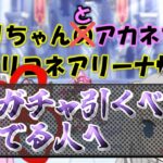 【プリコネR】大体1分で闇姉ガチャ引くべきか問題【バリーナ】【プリーナ】