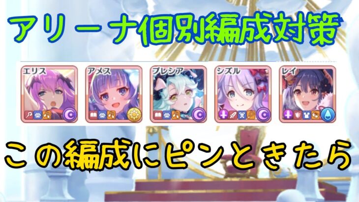 【プリコネR】エリス アメス プレシア 闇姉 ニュレイ編成【アリーナ個別対策】