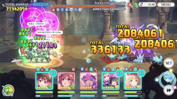 【プリコネR】4段階目フロストハウンド　物理1.63億簡易