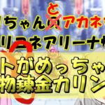 【プリコネR】意外と強い余り物で作った激安の錬金カリン防衛【バリーナ】【プリーナ】