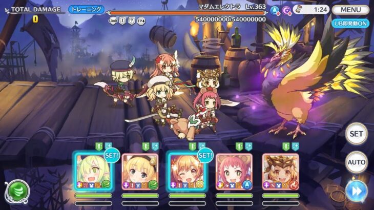 プリコネR 4段階目 マダムエレクトラ 持ち越し 1080万 21s 2024/05