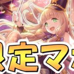 【プリコネR】限定マホって何か破壊してくれそうやん！？【バニーマホ】【バニー】【ドリームパーク】