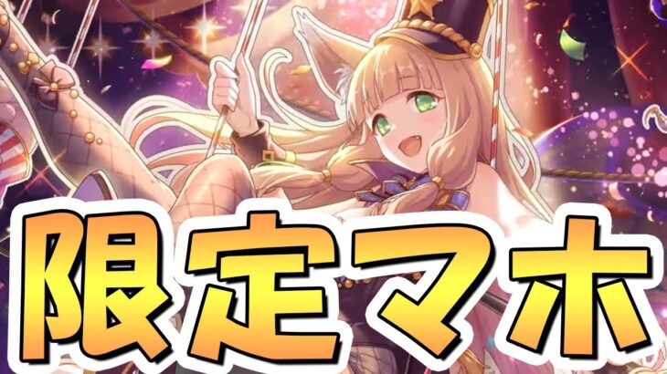 【プリコネR】限定マホって何か破壊してくれそうやん！？【バニーマホ】【バニー】【ドリームパーク】