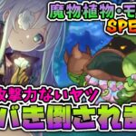 【プリコネR】これはもしかして、魔法パ推奨ゲーミングですか？ 魔物植物・モベルべSP 後編【実況プレイ】