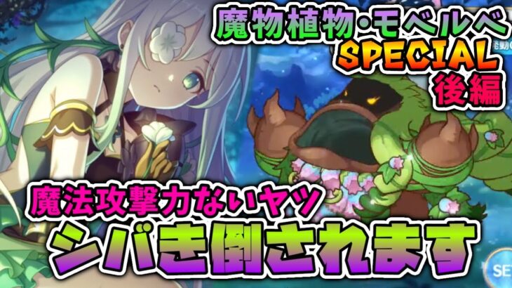 【プリコネR】これはもしかして、魔法パ推奨ゲーミングですか？ 魔物植物・モベルべSP 後編【実況プレイ】