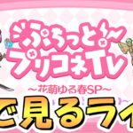 【プリコネR】ぷちっとプリコネTVを皆で一緒に見るライブ【花萌ゆる春SP】