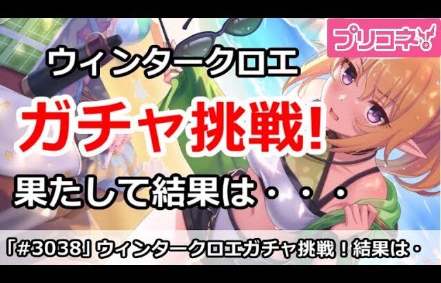 【プリコネ】ウィンタークロエガチャ挑戦！果たして結果は・・・【プリンセスコネクト！】