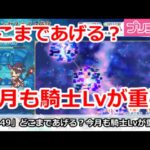 【プリコネ】今月もプリンセスナイトのLvが重要！どこまであげるか？【プリンセスコネクト！】