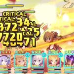 【プリコネR】深域クエスト 火5-3  運要素少なめ