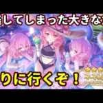 【プリコネR】スルーを半年間悔やんだ騎士君が、ガチャに挑む！【ネネカ（サマー）】