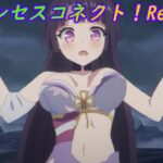 【プリコネR】あ…水着が… [Princess Connect!Re:Dive]