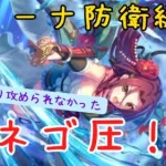 【プリコネR】あまり攻められなかった星6ルカ編成【アリーナ防衛編成】