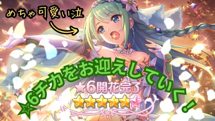 【プリコネR】☆6チカ、モニカ、ジータをお迎えしていく！