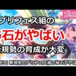 【プリコネ】新規勢のプリフェス組の秘石がやばい！育成が大変すぎる【プリンセスコネクト！】