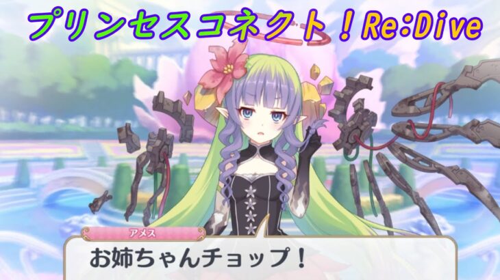 【プリコネR】ヤベー人直伝の「お姉ちゃんチョップ」を放つアメスさまｗ [Princess Connect!Re:Dive]