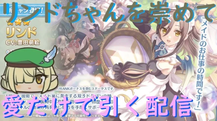 【プリコネR】急に来た推しリンドちゃんをジュエルもないのに無計画に愛だけで引く配信！！ここで終わってもいい…【ガチャ配信】