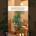 【プリコネR実況】1420_やっぱりペコさんとも逢瀬を重ねるいつもの喫茶店(2021/11/06) #Shorts